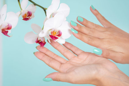 Woman hands with a turquoise color manicure and white orchids flower isolated on soft blue...
