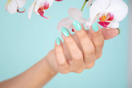 Young girl hand with a turquoise color nails polish and white orchids flower isolated on soft blue background in studio. Manicure and beauty concept. Close up, selective focusの写真素材