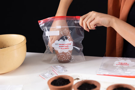 Woman hand putting pot with cactus Mammillaria Hahniana in a zip bag. Process of sowing cacti plant...