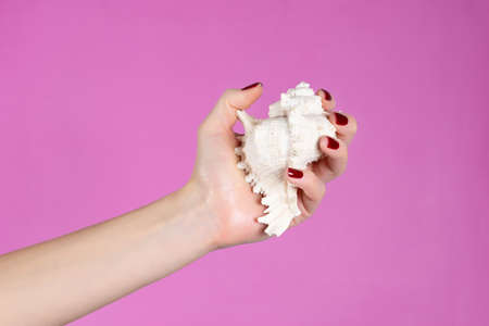 Girl hand with brown manicure holding a sea shell isolated on pink background in studio. Close up, copy space for text or design.の写真素材