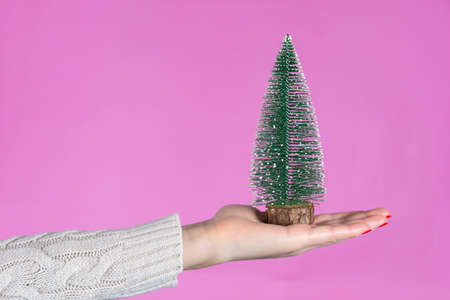 Female hand holding little Christmas tree isolated on pink background in studio. Female hands with red nails polish on fingers. Christmas or Valentines day holiday and minimalism conceptの写真素材
