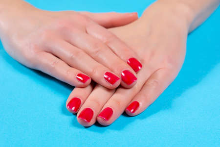 Female hands with red nails polish on fingers isolated on blue background in studio. Manicure and beauty concept. Close up, selective focusの写真素材