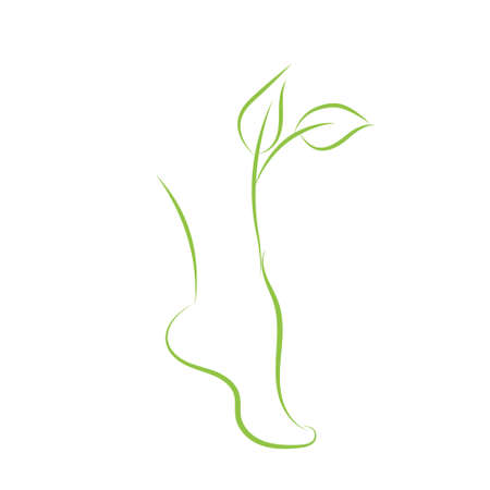 Healthy female feet spa symbol leg silhouette and green sprout. Green foot contours with leaves that grow and a nice legs scent. Pedicure concept. Woman legs vector illustration for design and iconのイラスト素材