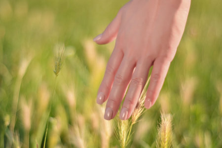 Woman hand touching green grass in a field on a sunny summer day. Relaxation in nature concept. Copy...