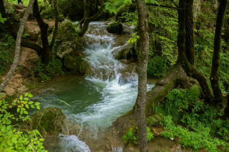 Mountain stream with blue water flowing through green forest and glade on natural park Zlatibor,...