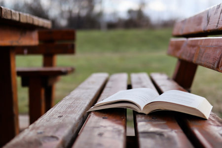 Open book on a wooden bench in a park on an autumn day. Copy space for design or textの写真素材