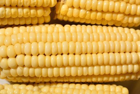 Close up of cooked corn, top view on desk. Abstract food background concept. Copy space for design...