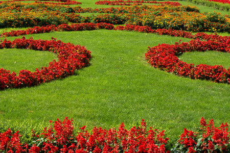 Beautiful garden with green grass and red flowers in row on a sunny summer dayの写真素材