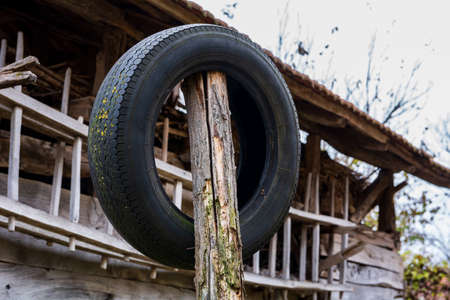 An old car tire overgrown with moss hung on a wooden stake in the village on a cloudy autumn dayの写真素材