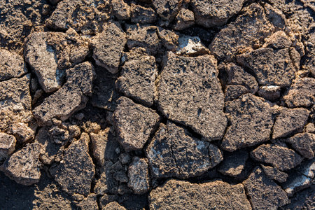 Cracks on the surface of the earth are altered by the shrinkage of mud due to drought conditions of...
