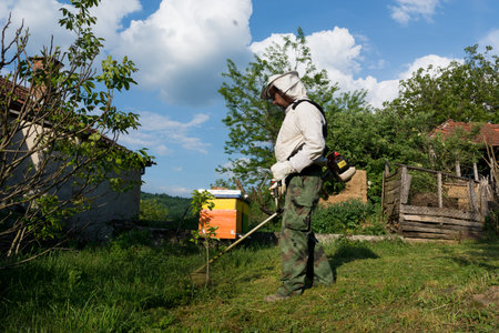 The beekeeper mowed tall grass in the apiary with a hand lawn gasoline mower on a spring day. A man...