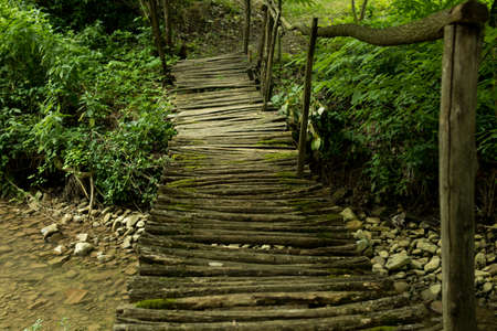 Footbridge over stream in the forest on summer day. The bridge is old and overgrown with moss. Natural background concept. Close up, selective focusの写真素材