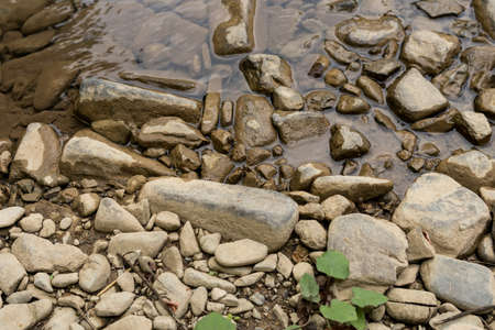 Stones and river water in the forest on a sunny summer day. Natural background concept. Top view. Close up, selective focusの写真素材