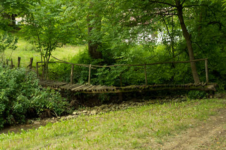 A small wooden footbridge over a stream in the forest on a sunny summer day. The bridge is old and overgrown with moss. Natural background conceptの写真素材