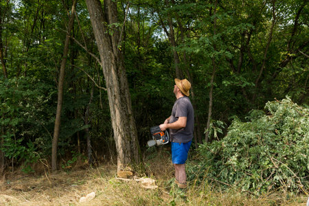 A man with a chainsaw is looking at a large acacia tree and preparing to cut it down on a summer day...