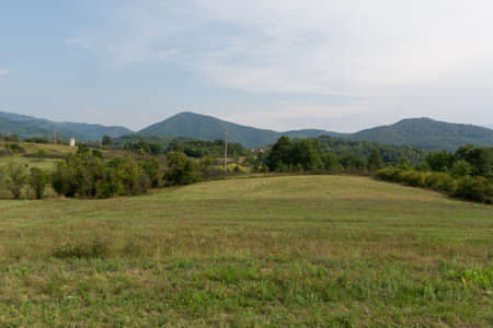 Landscape with meadows and trees on a summer day in Malo Bonjince country, Serbia. Natural background concepの写真素材