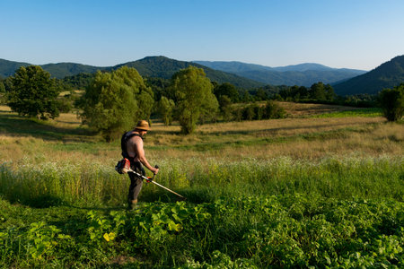 At sunset, a farmer trims tall grass around his vegetable garden using a trimmer on his field. The backdrop showcases meadows and hills, emphasizing the agricultural conceptの写真素材