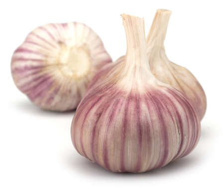 Garlic bulb isolated on white backgroundの写真素材