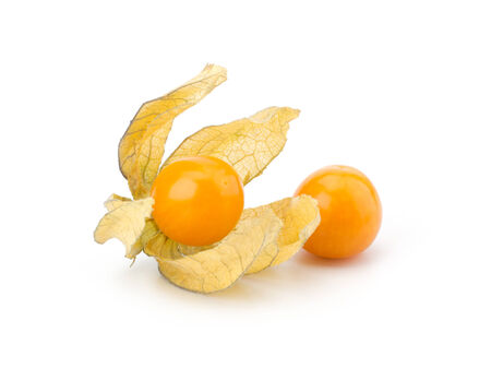 Physalis fruit isolated on white backgroundの写真素材