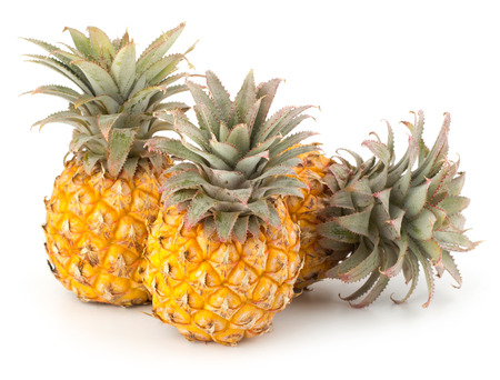 \"baby\" pineapple isolated on white backgroundの写真素材