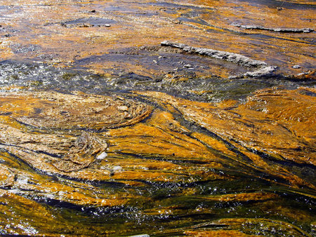 Colorful thermal stream with algae Yellowstone National Park USAの写真素材