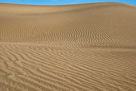 Desert dune at Stovepipe Wells in Mesquite Flatsの写真素材