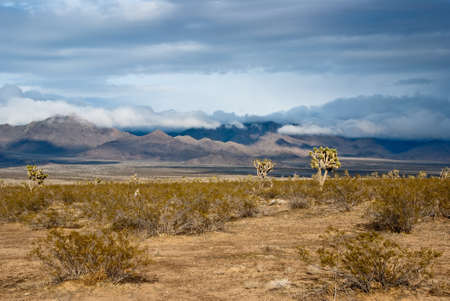 Winter storm over desert landscapeの写真素材