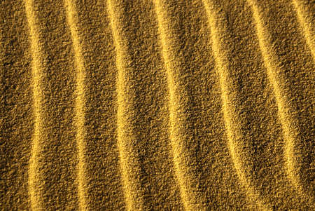 Light and shadow create sand snakes in desertの写真素材
