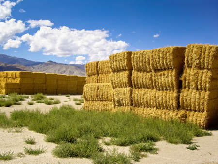 Haystacks in high desert of California USAの写真素材