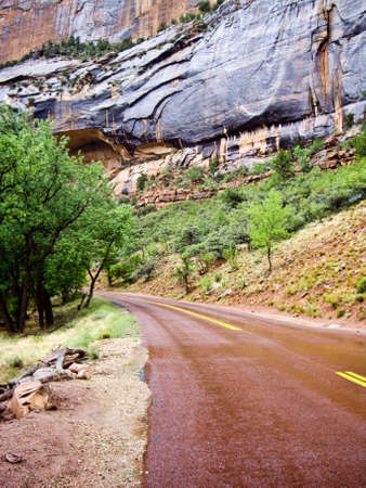 Road bends in Zion Canyonの写真素材