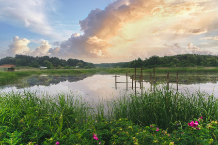 Lake surrounded by lush green vegetation. Very dramatic sky with clouds reflected on the lake. Scenic view of a natural park and tourist destination in South Korea at sunset.の写真素材