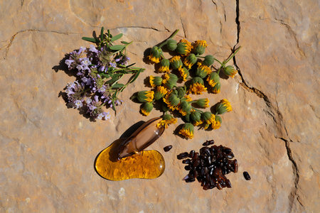 Herbs and spices on a stone background. Medicinal herbs.の素材