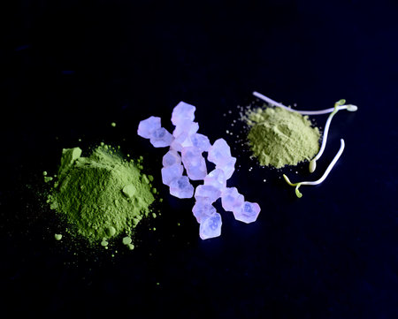 Green tea powder on a black background. Selective focus. Toned.の素材