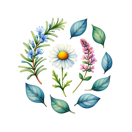 Floral wreath with chamomile, lupine, rosemary and leaves. Vector illustration.の素材