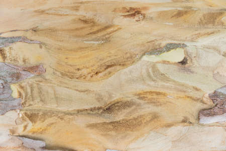 Wooden patternの写真素材