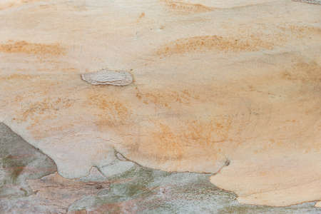 Wooden patternの写真素材