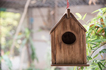Bird house
