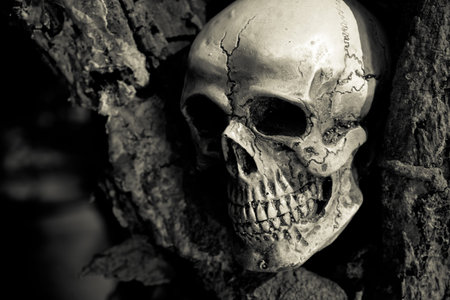 Skull on trees black