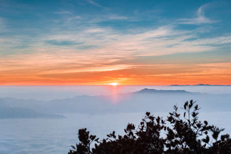 Scenic destination view during sunrise over clouds with silhouette trees in foregroundの写真素材