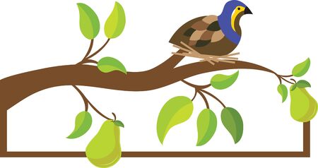 Partridges appear as part of the first gift listed in the Christmas carolのイラスト素材