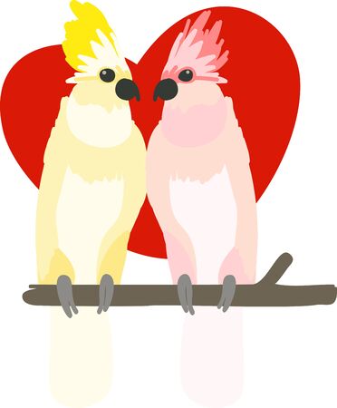 a pair of romantic wild  cockatoos showing their affection for one another sooooo cuteのイラスト素材