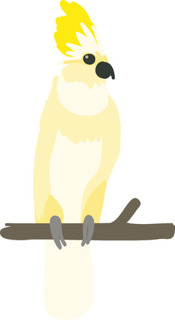 A cockatoo is a fancy feathered bird with a large crest or crown.のイラスト素材