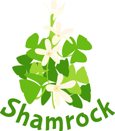 Shamrocks from Ireland are a beautiful way to decorate your tea towels.のイラスト素材