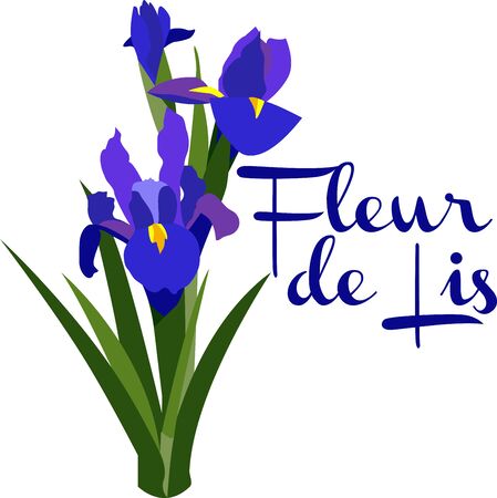 Iris means rainbow. It has many colors.So Enjoy the beautiful Iris Designのイラスト素材
