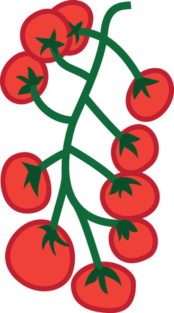 Savor the flavors of everyday real food, fresh from the garden with this design on cozies, kitchen towels and more.のイラスト素材