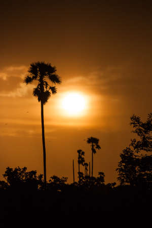 sunsetの写真素材