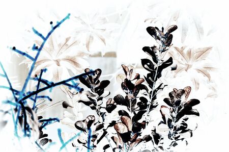 Natural leaf background for text usedの写真素材