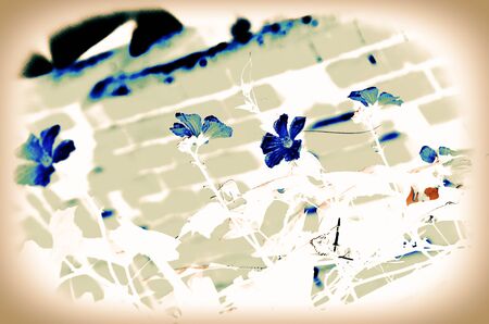 Natural flower background for text usedの写真素材