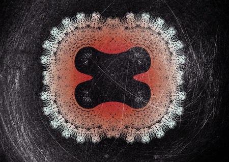 Decorative motif vintage grunge backgrounds.の写真素材