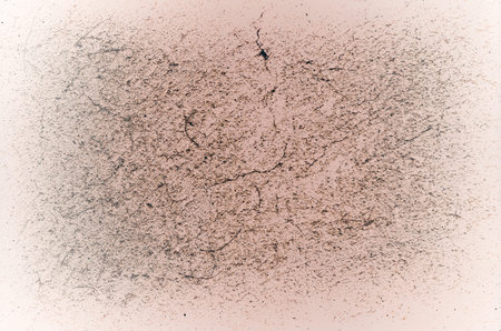 Grunge texture  perfect background with space for text
